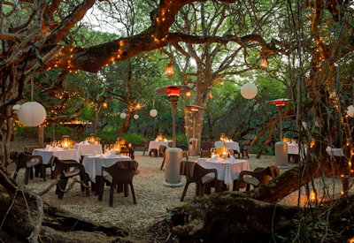 A lodge in an ancient milkwood forest