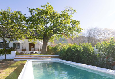 Steenberg historic wine farm is perfect for and wine tasting