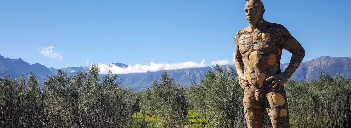Saronsberg Wine Estate