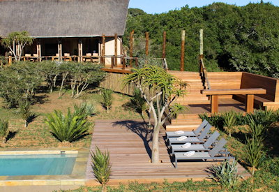 Amakhala Bush Lodge nestled among aloe plants Amakhala Private Game Reserve Eastern Cape