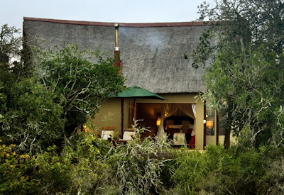 Private viewing deck and plunge pool at Amakhala Bush Lodge Amakhala Game Reserve Eastern Cape