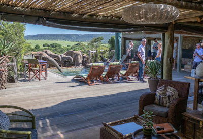 Swimming pool and viewing deck at Amakhala Hillsnek Lodge Amakhala Private Game Reserve Eastern Cape