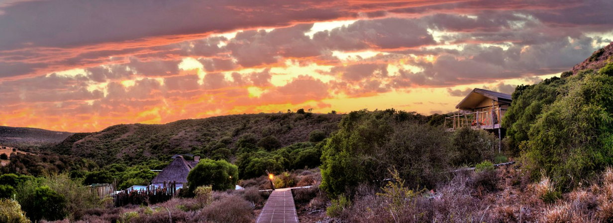 Amakhala Hillsnek Lodge