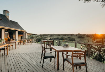 Amakhala Hlosi Lodge thatched suites connected by wooden walkways Amakhala Game Reserve