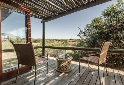 Bar area overlooking swimming pool at Amakhala Hlosi Lodge Amakhala Private Game Reserve