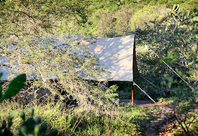 1920s expedition-style colonial safari tent at Amakhala Quatermain's Camp Amakhala Reserve