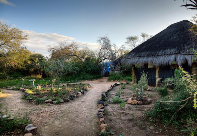 Authentic Big Five bush safari experience at Amakhala Quatermain's Camp Eastern Cape South Africa