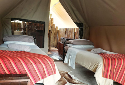 Twin-bedded colonial safari tent with military campaign furnishings at Amakhala Quatermain's Camp
