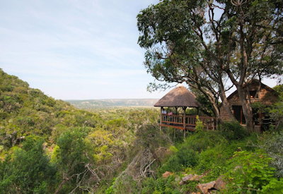 Amakhala Woodbury Lodge perched on cliff overlooking Bushman's River valley Eastern Cape
