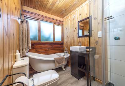 En-suite bathroom with ornate shower and bathtub at Kariega Main Lodge Kariega Game Reserve