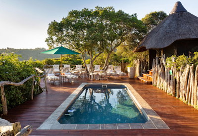 Swimming pool with African wilderness views at Lalibela Tree Tops Lodge Lalibela Game Reserve