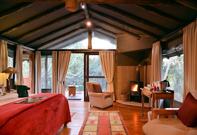 Luxury king-sized tented suite with fireplace at Sibuya Forest Camp Sibuya Game Reserve Eastern Cape