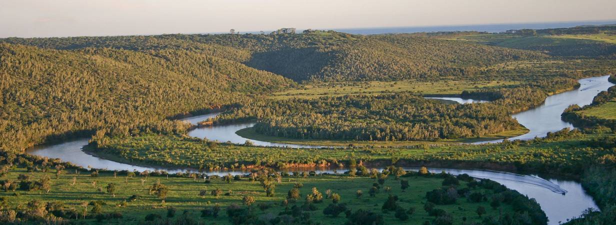 Sibuya Forest Camp