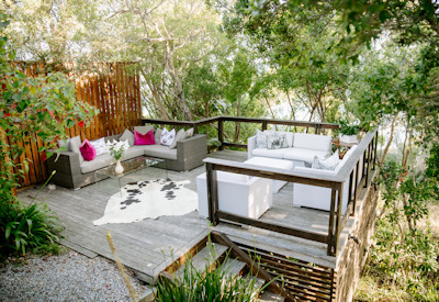 Forest canopy offers spectacular views