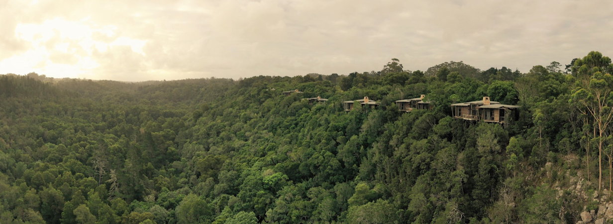 Tsala Treetop Lodge