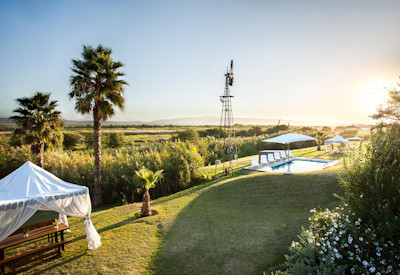 De Zeekoe cattle and ostrich farm