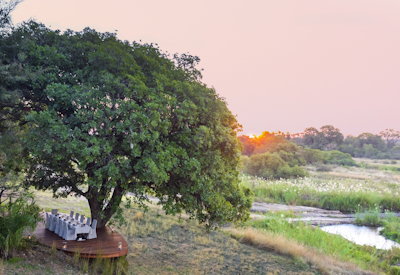 The lodges views of the Sabi Sands