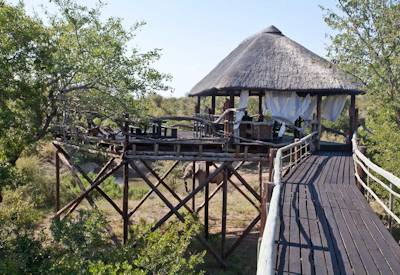 Raised wooden walksways throughout the lodge