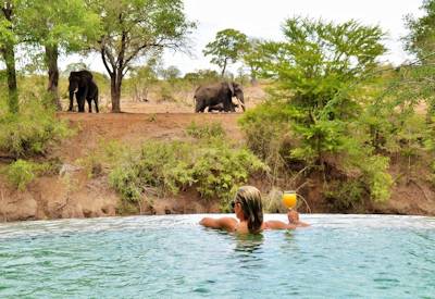 Views from the swimming pool at safari lodge