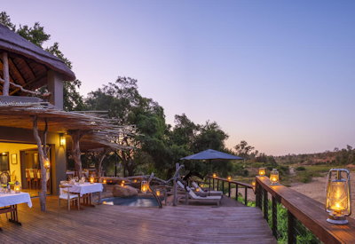 Jock in a Kruger National Park private  concession