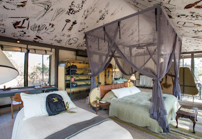 Family safari options abound