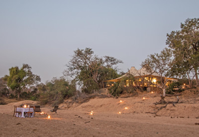 Private safari vehicle and guide