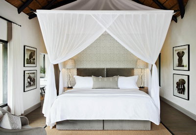 Londolozi luxury safari lodge