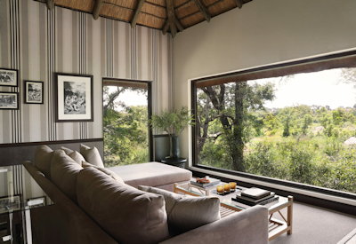 Views out over the Sabi Sand Game Reserve