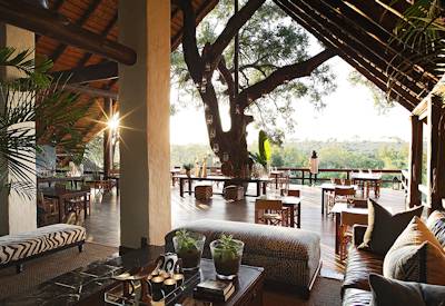 Those stunning views of the Sabi Sand Game Reserve