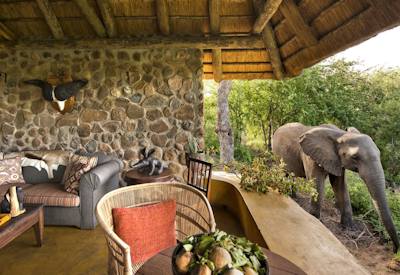 Wildlife on ones' doorstep