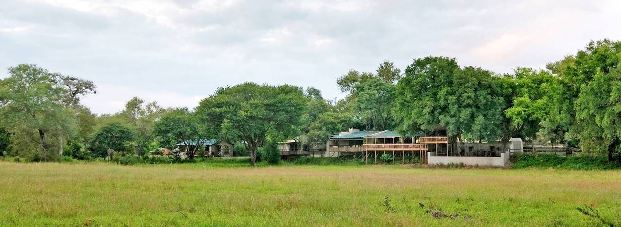 Nottens Fly In Safari