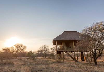 Raised Tree Camp safari suites