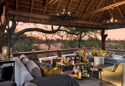 Lounge area with inevitable wildlife sightings