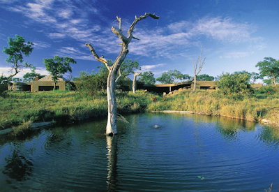 Waterhole and wildlife