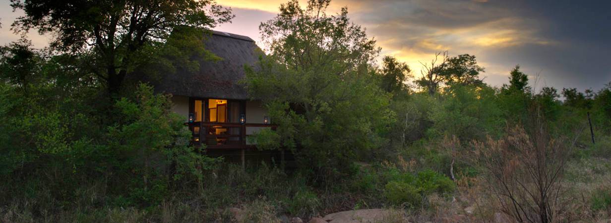 Sabi Sabi Little Bush Camp