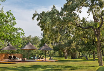 Swimming pool surrounded by Klaserie reserve