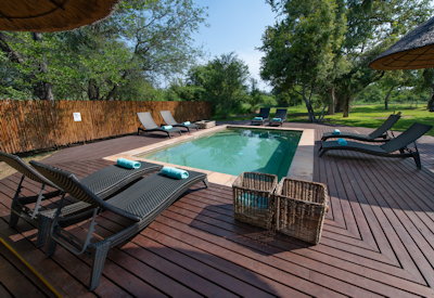 Private Swimming pool with sun loungers