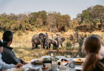 Simbavati offers up breathtaking views