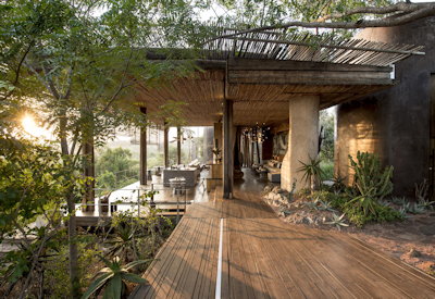 Wooden viewing deck