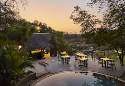 Makalali wilderness is a big five safari destination