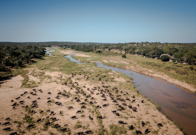 Umkumbe and the Sabi Sand Reserve
