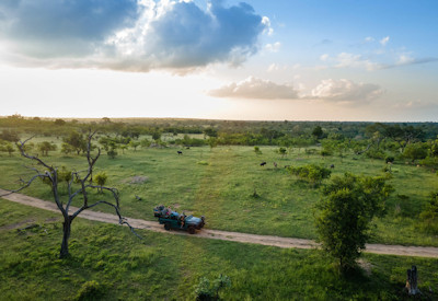 Umkumbe in the Sabie Game Reserve region