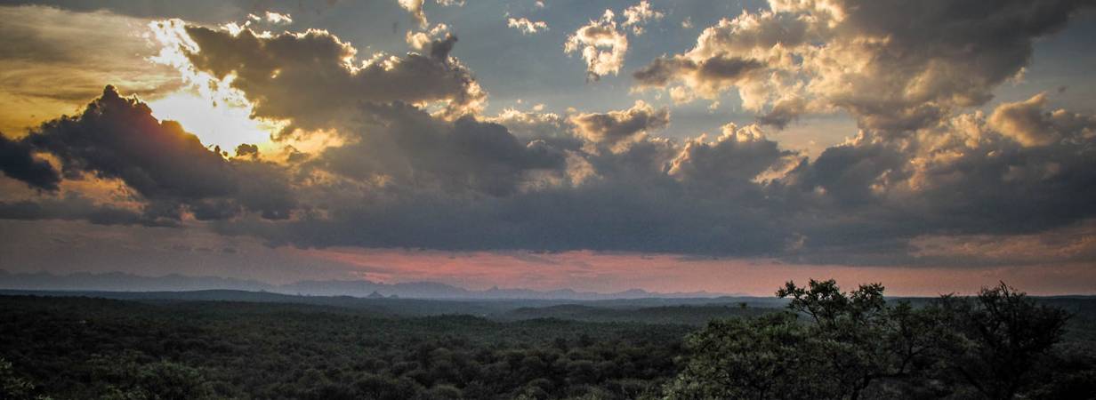 Kruger Park Scenery Photo Gallery