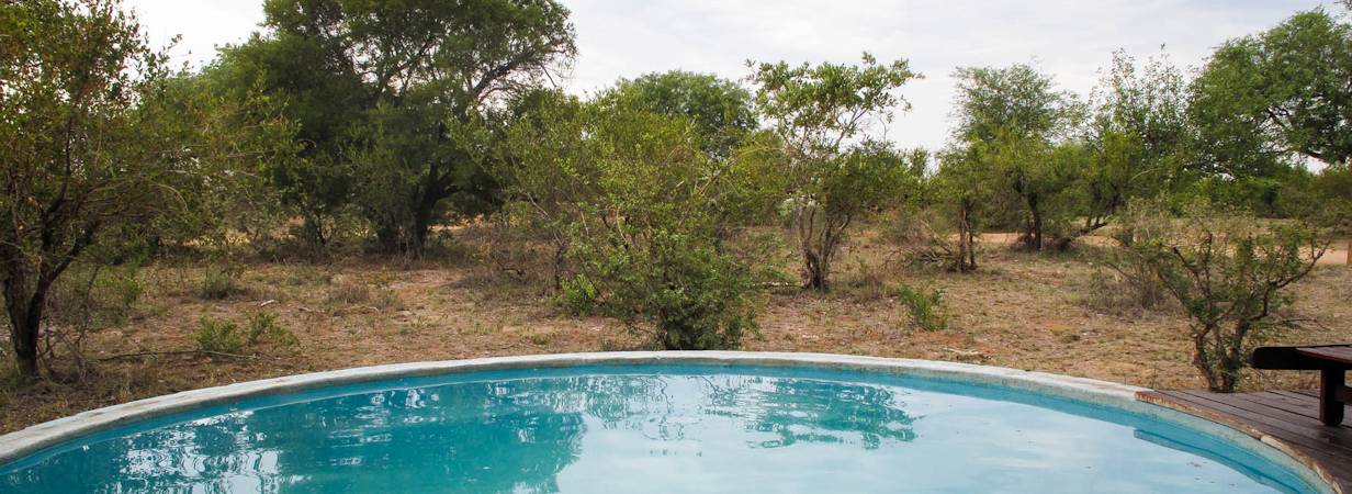 Africa On Foot Photo Gallery