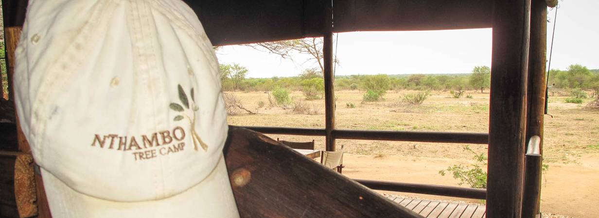 nThambo Tree Camp Photo Gallery