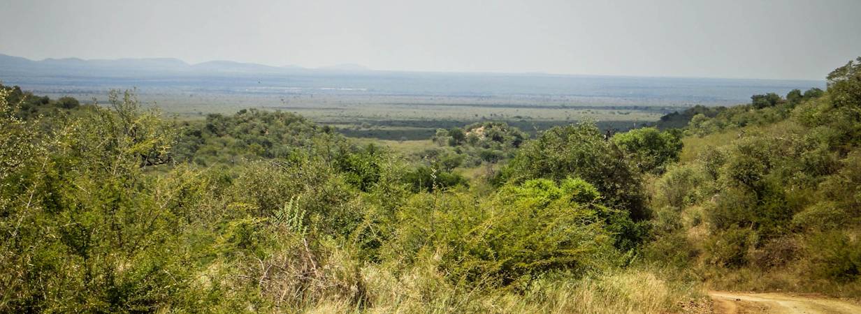 Madikwe Scenery Gallery