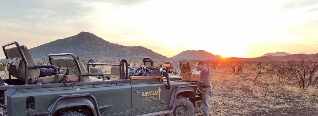 Safari In Madikwe Photo Gallery