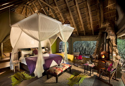 Jaci's Safari Lodge nestled in riverine forest canopy Madikwe Game Reserve