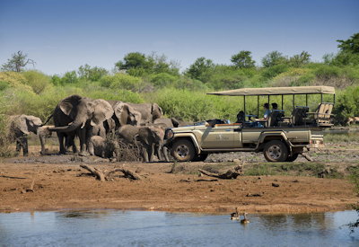 Big Five game drive in open safari vehicle at Jaci's Safari Lodge Madikwe Game Reserve