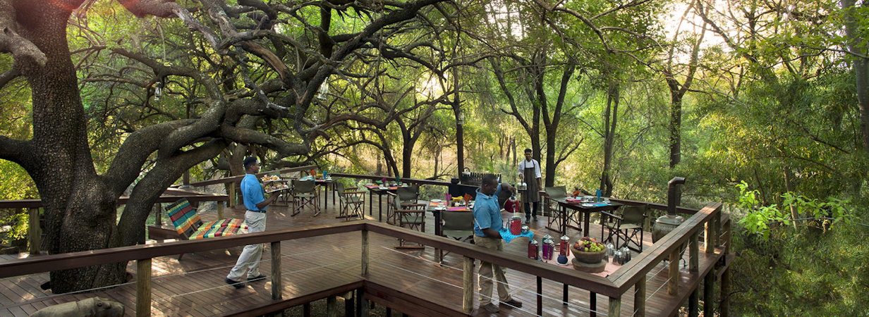 Jaci's Safari Lodge